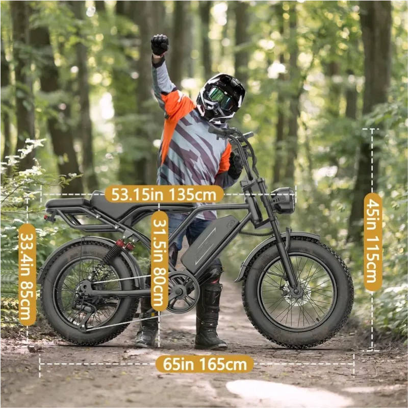 VV Electric Bike