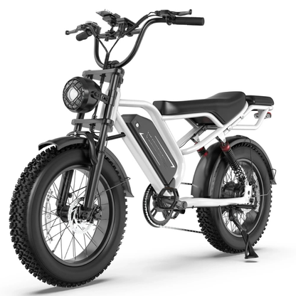 VV Electric Bike